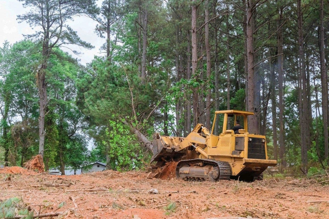 Land Clearing image
