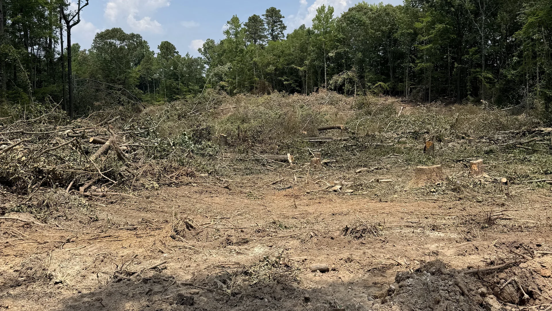 Cleared lot of bare dirt with the tree line left standing at the back