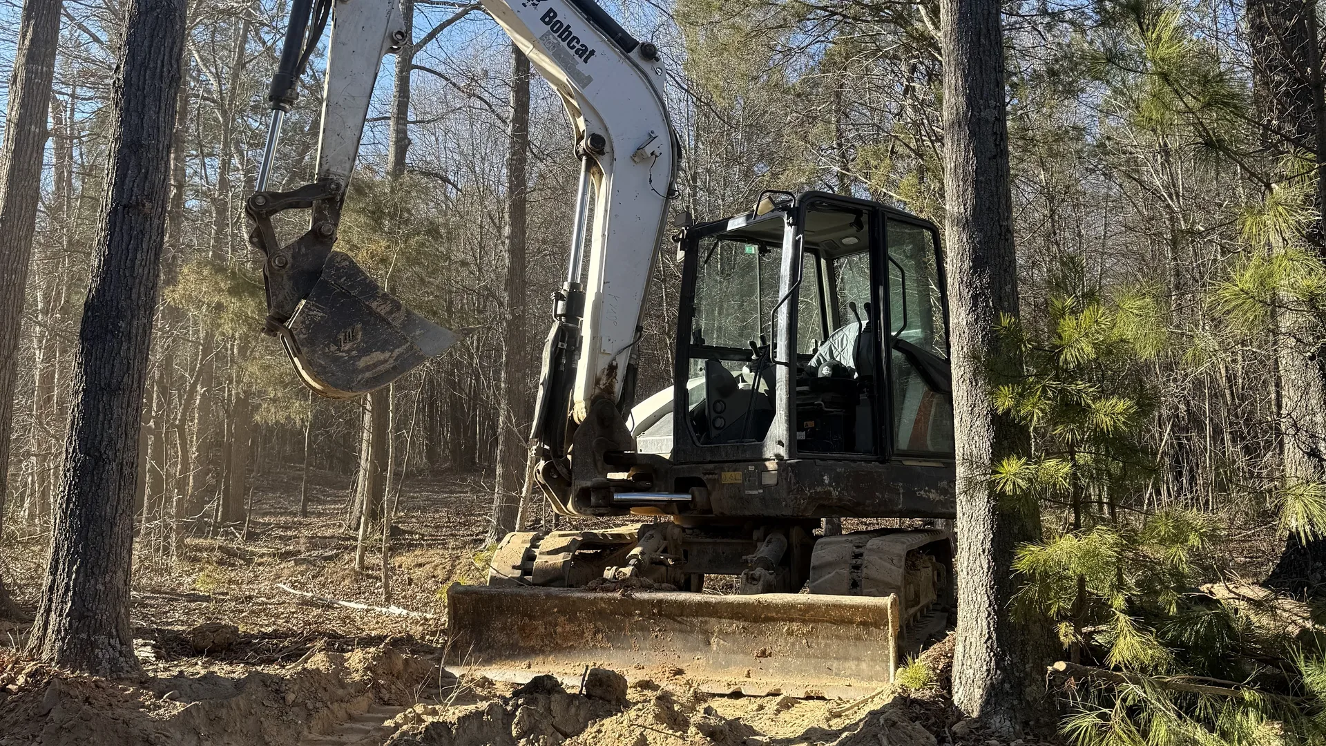 Excavator clearing standing timber on a wooded lot