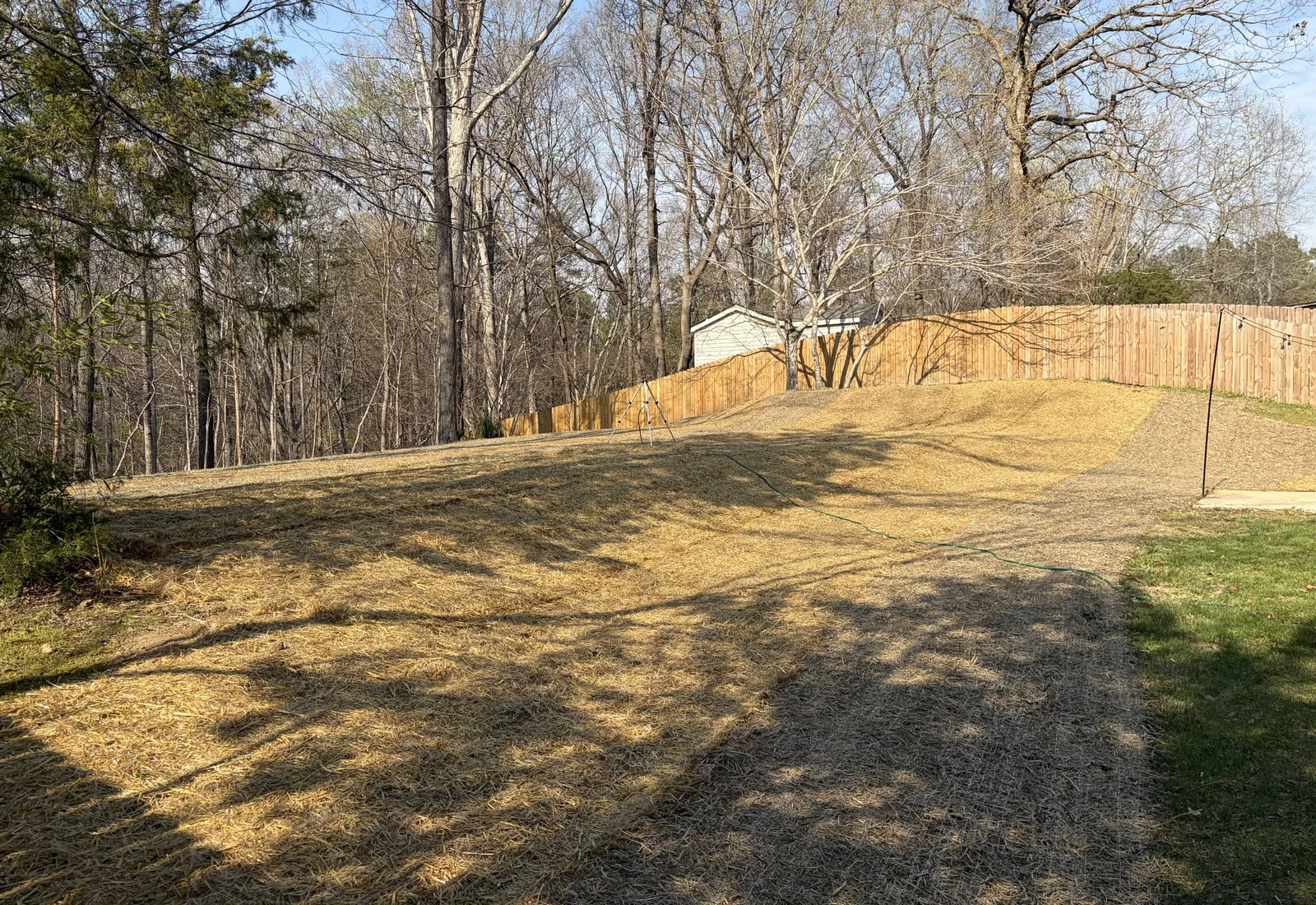 Backyard regrade covered in straw mulch running back to a wood fence so the bare clay holds