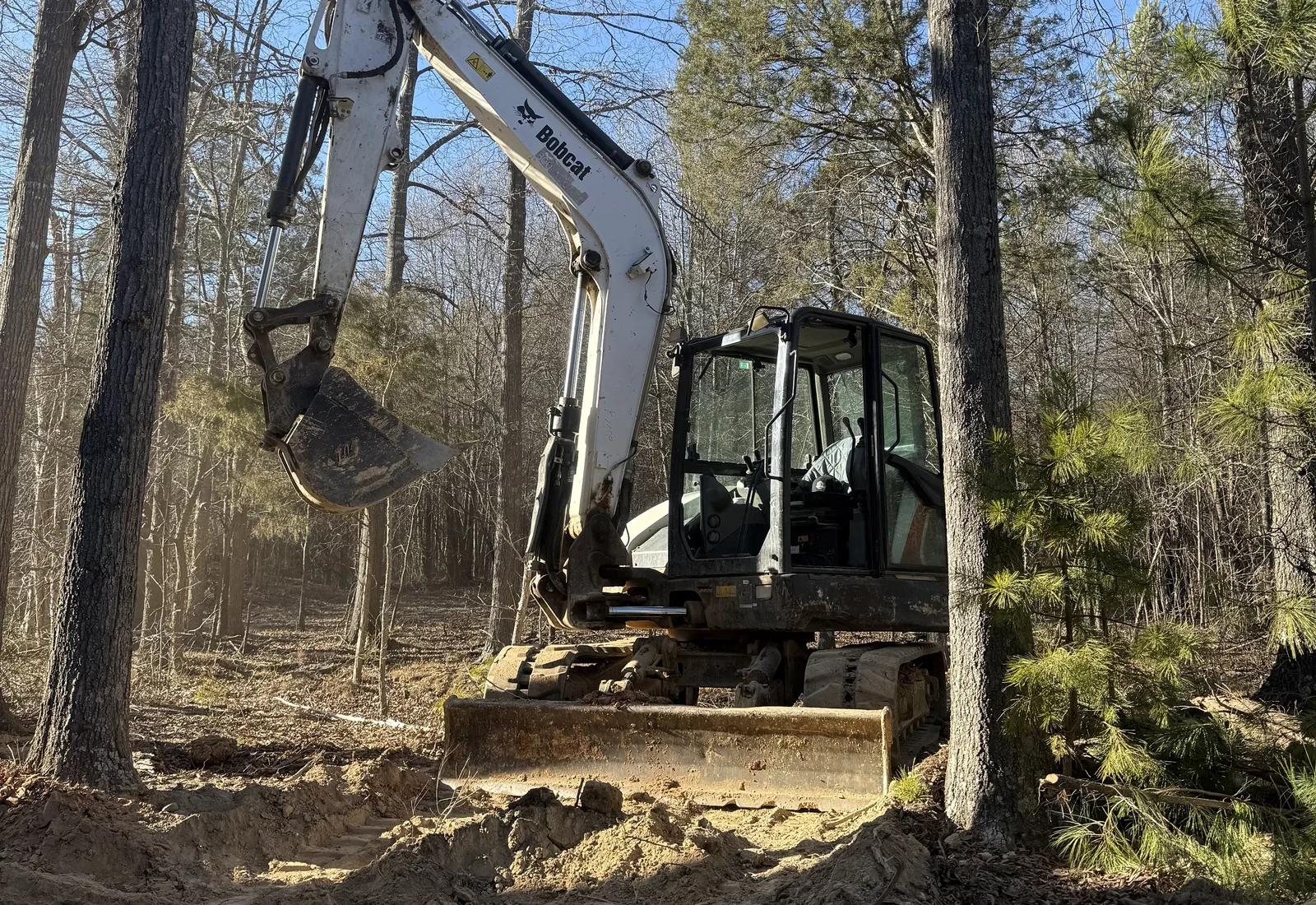 Excavator clearing timber and brush in open hardwoods