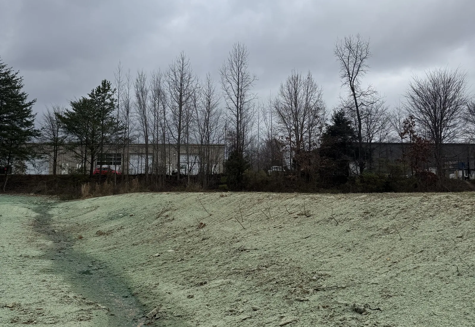 Hydroseeded slope with a shaped drainage swale running down it at a commercial site